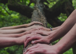 teamwork
