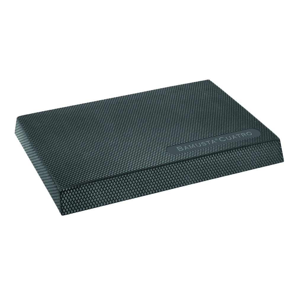 BalancePad_PhysioKonzept Airex-Pad