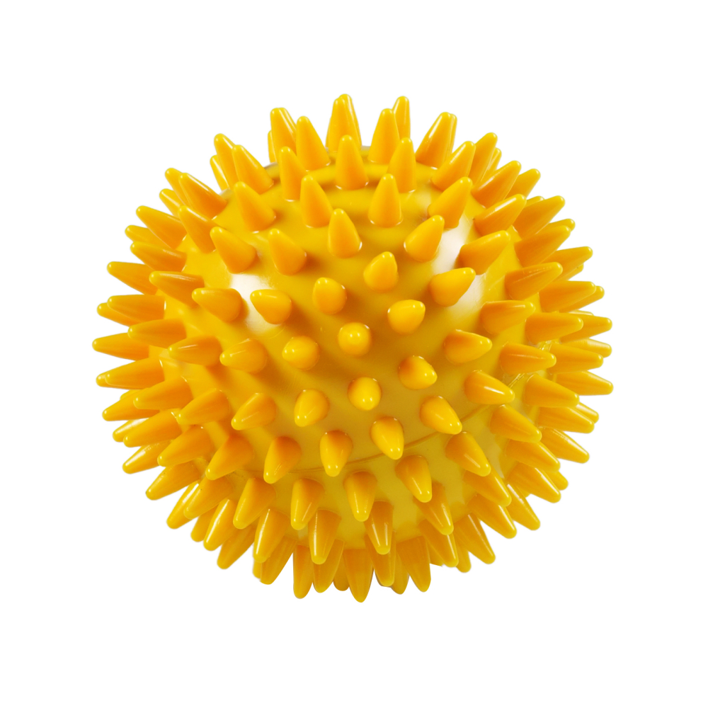 Igelball_PhysioKonzept Igelball