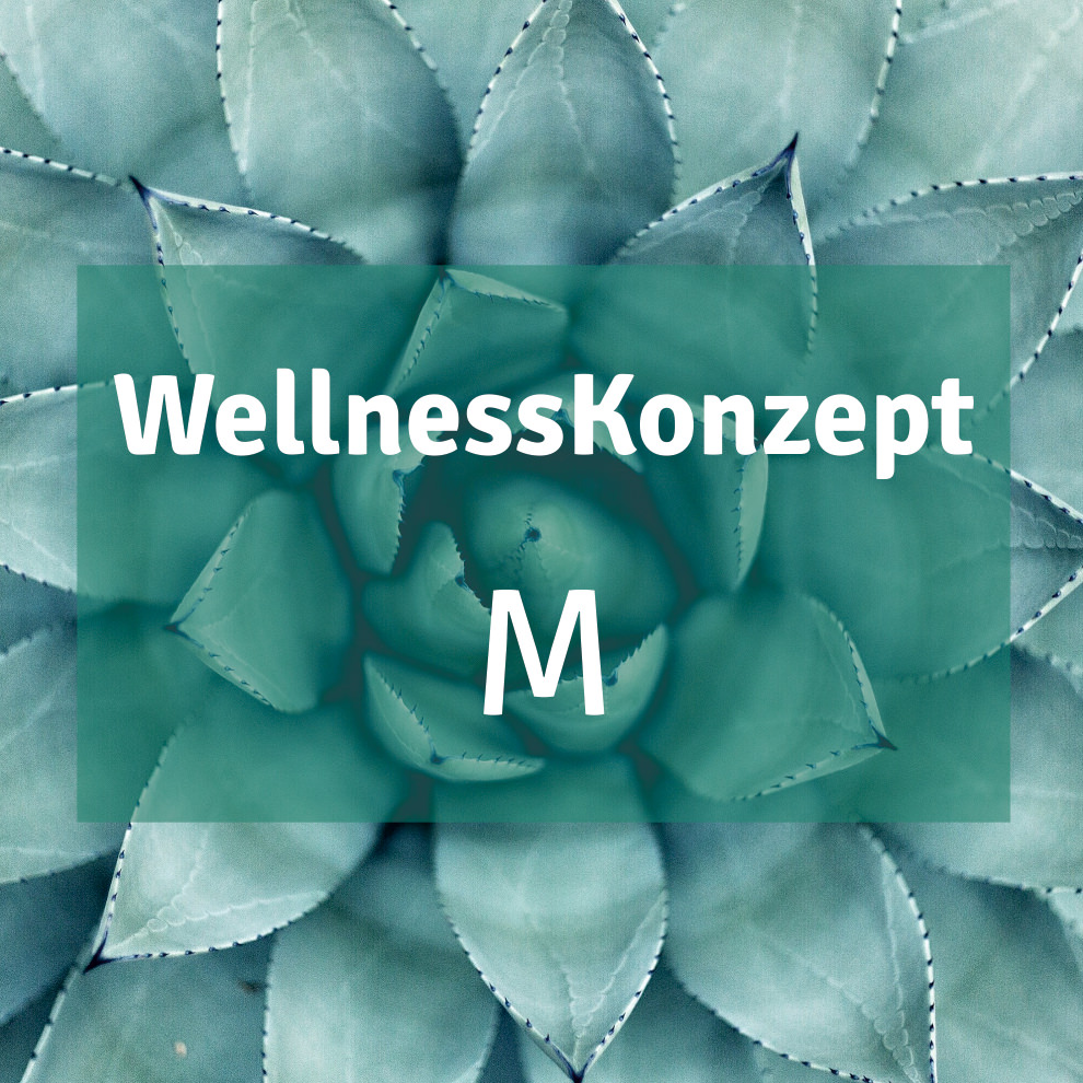 Massage | S-Konzept