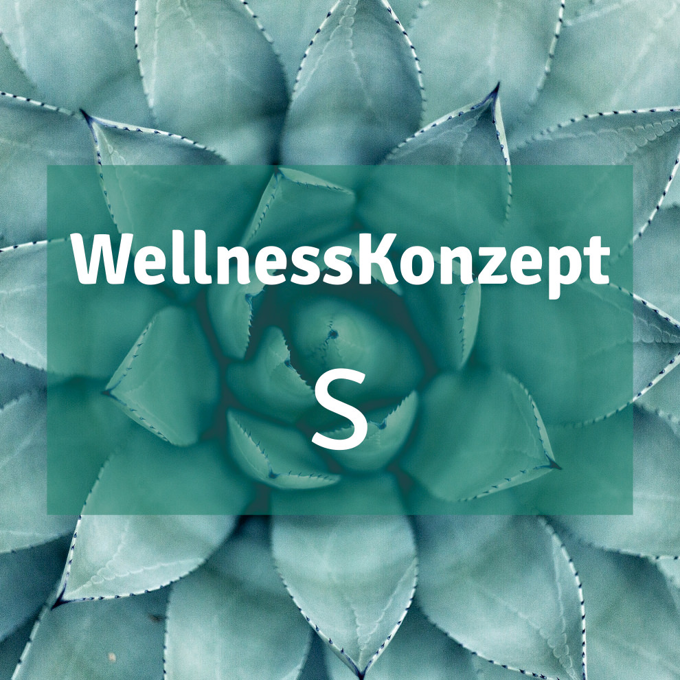 Massage | S-Konzept